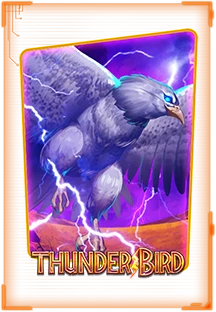 img24-thunder-bird